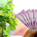 बस पर्स में रख ले ये वस्तु फिर कभी नही होगी पैसों कि तंगी