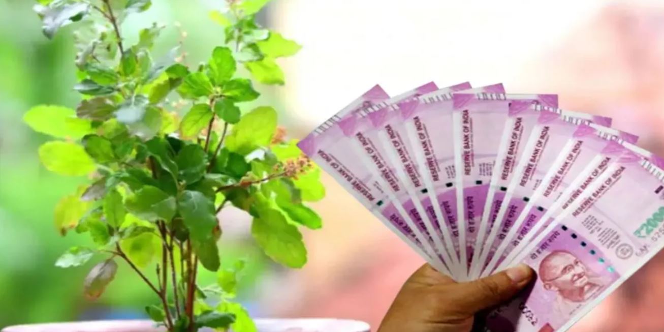 बस पर्स में रख ले ये वस्तु फिर कभी नही होगी पैसों कि तंगी