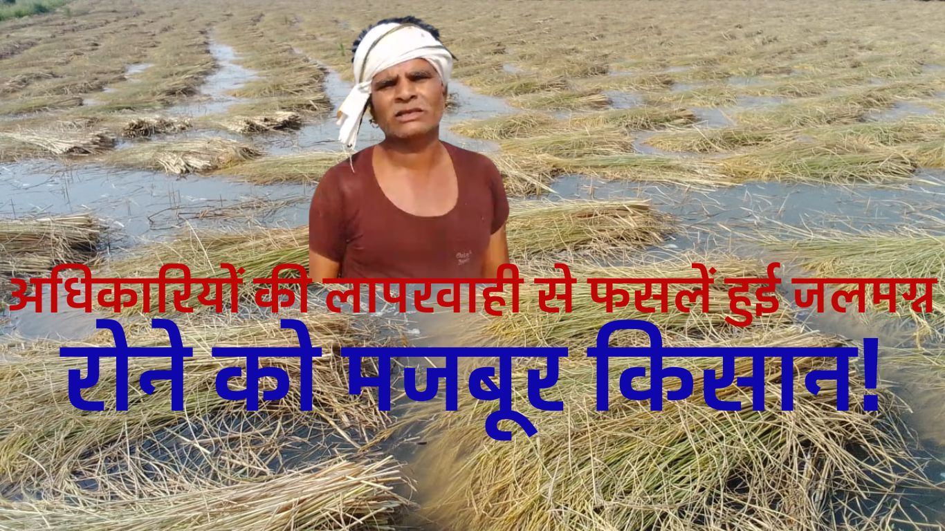 अधिकारियों की लापरवाही से फसलें हुई जलमग्न, रोने को मजबूर किसान