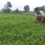 Profit of Rs 1 lakh every month by investing Rs 10 thousand! Know how the life of a farmer of Farrukhabad changed