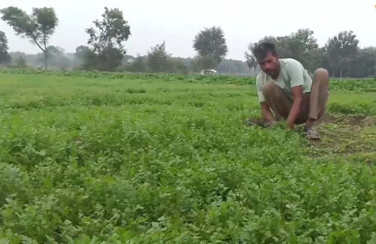 Profit of Rs 1 lakh every month by investing Rs 10 thousand! Know how the life of a farmer of Farrukhabad changed
