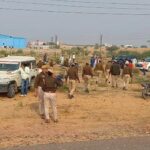 Ruckus in Taranagar, Rajasthan before voting, allegations of distribution of money and liquor, BJP-Congress supporters clash