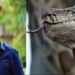 Snake venom was extracted in a warehouse built in Faridabad, Rahul revealed many secrets in the Elvish case.