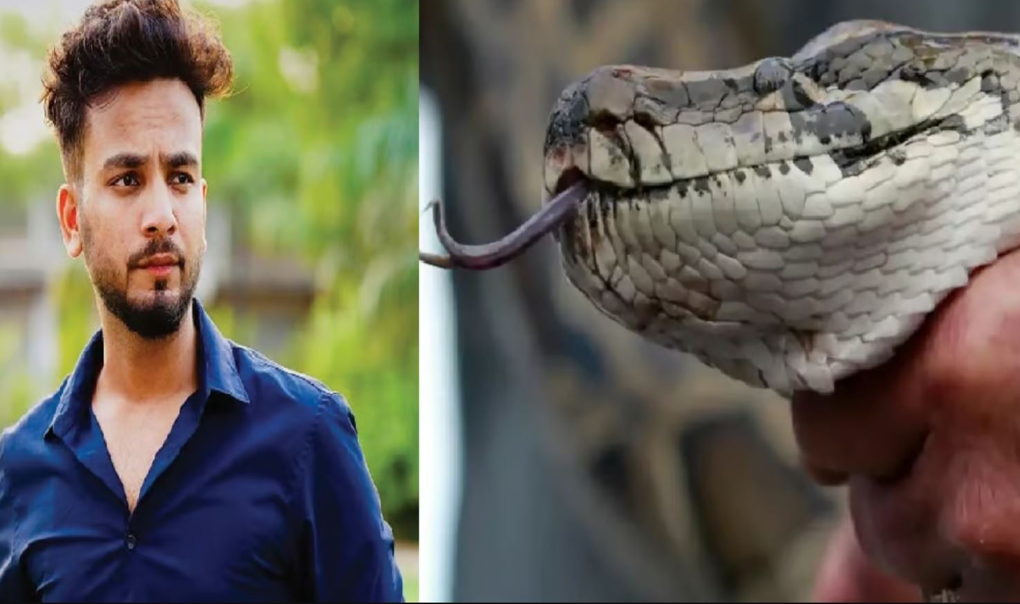 Snake venom was extracted in a warehouse built in Faridabad, Rahul revealed many secrets in the Elvish case.