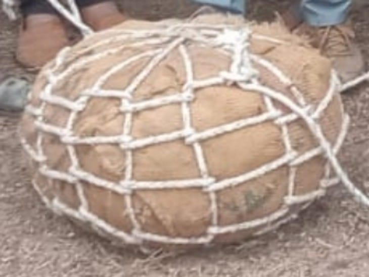 Tomorrow in Awan, 80 kg stick will be played, 5 thousand people from 12 villages will fight together.
