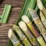 Government has imposed 50 percent charge on the export of Shira made from sugarcane, there will be problems! Why it is so?