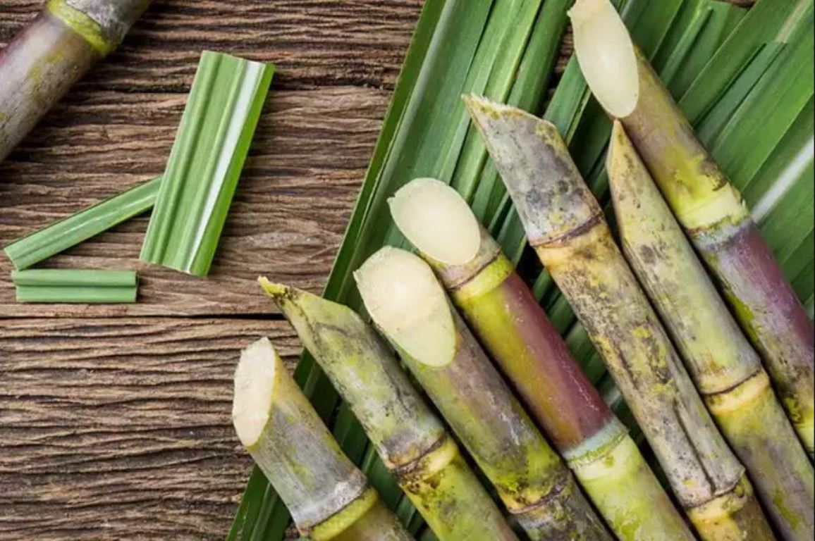 Government has imposed 50 percent charge on the export of Shira made from sugarcane, there will be problems! Why it is so?