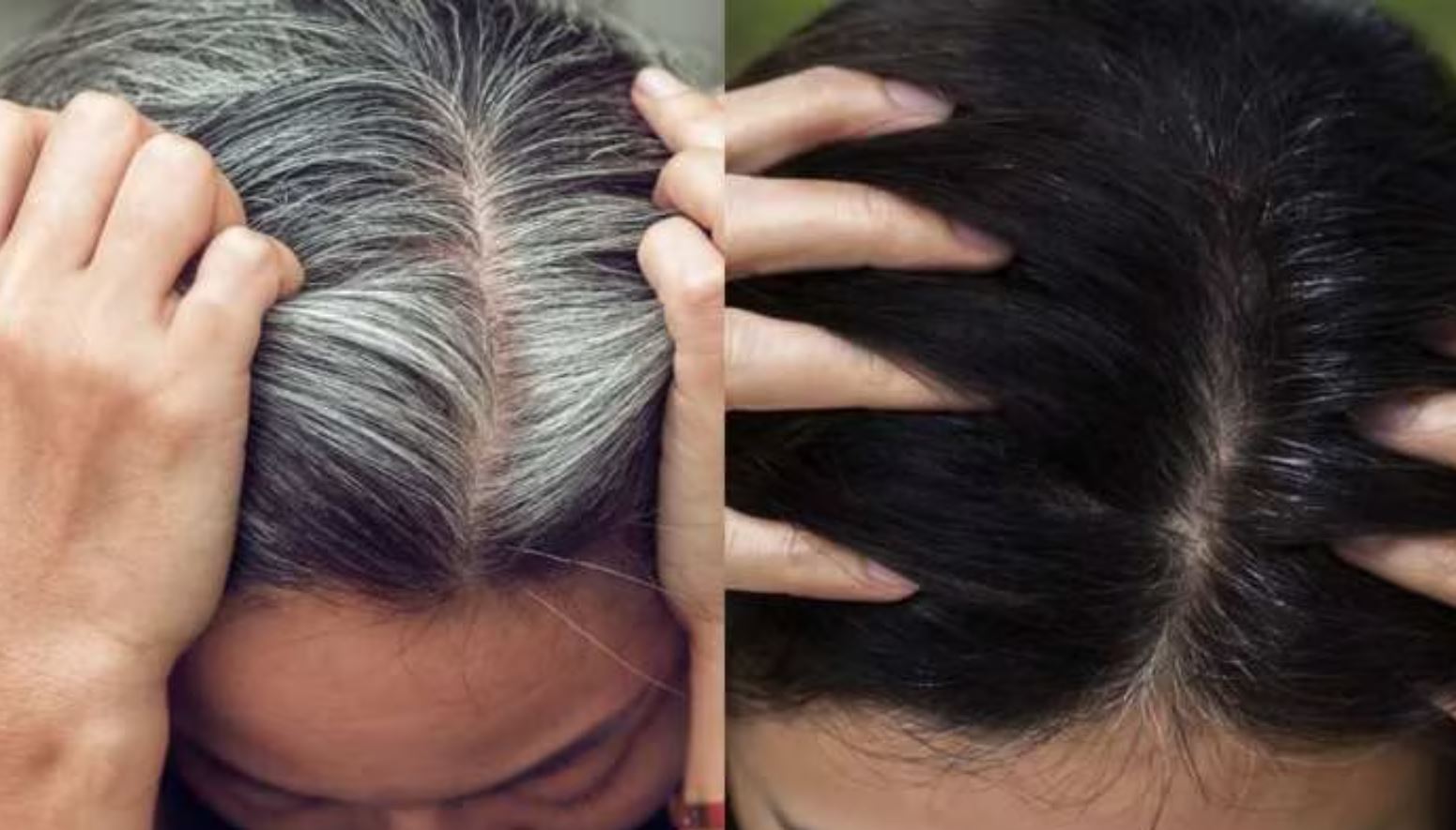 To blacken white hair from the roots, use tea leaves in these 3 ways.