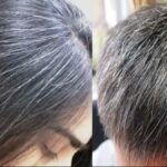 Increase this 1 thing in your body, you will get relief from the problem of white hair soon, know what to do?