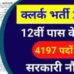 RSMSSB Recruitment 2024: Recruitment for 4197 posts for 12th pass in Rajasthan, notification released