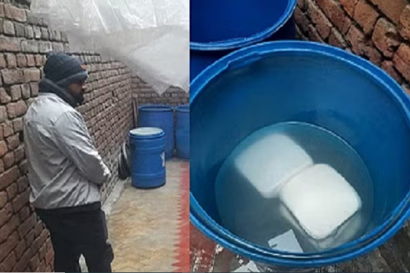 Raid on factory making cheese from lime instead of milk, was supplying indiscriminately to wedding parties