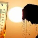 Mercury reached 48 degrees in Rajasthan and heat wave was deadly, 5 people died in last 24 hours.