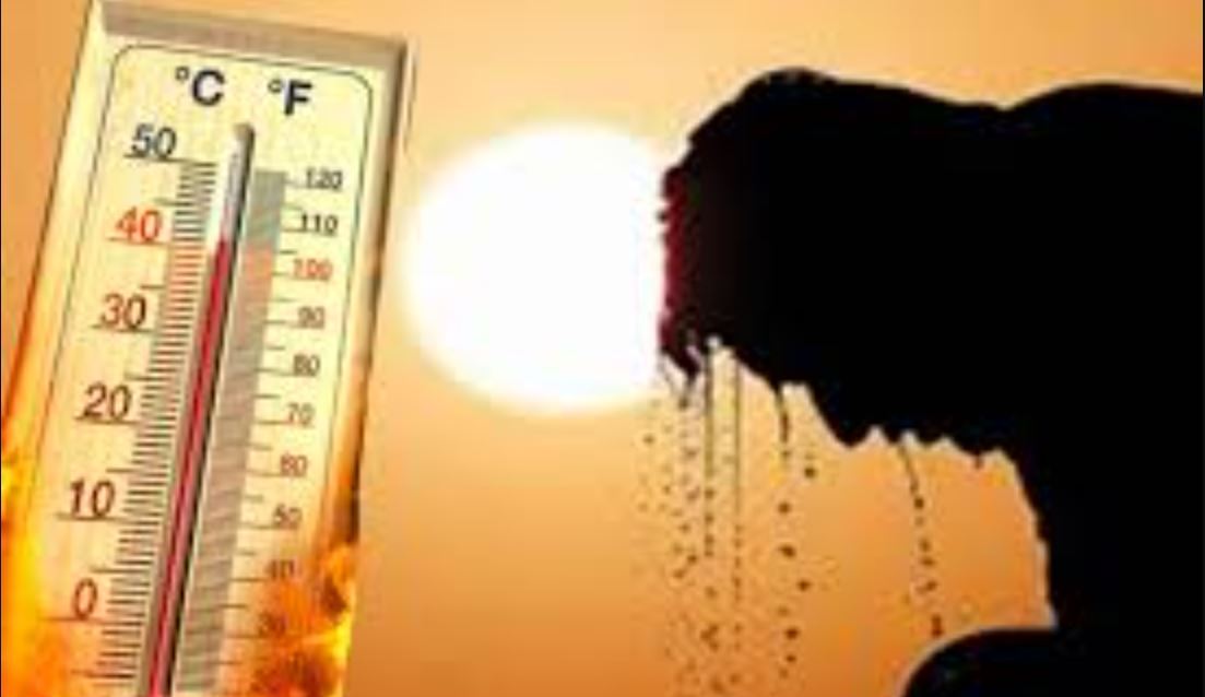 Mercury reached 48 degrees in Rajasthan and heat wave was deadly, 5 people died in last 24 hours.