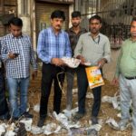 Campaign against adulteration: These dangerous substances were found during inspection of shops and warehouses of fruit sellers...