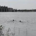 Dead body of old man found after 22 hours at Isarda Dam, was washed away while crossing Banas river, dead body found 5 kilometers away