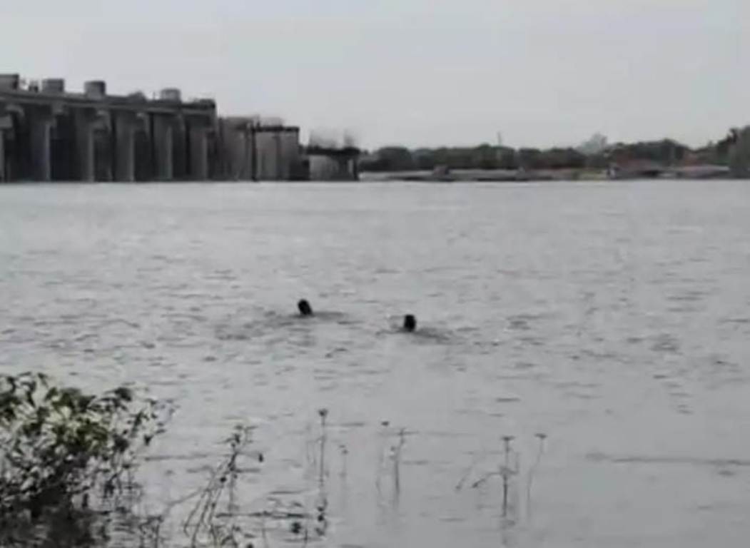 Dead body of old man found after 22 hours at Isarda Dam, was washed away while crossing Banas river, dead body found 5 kilometers away