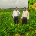 Agriculture Department officials reached farmers' fields and inspected crops for insects and diseases.
