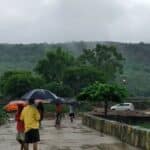 More than 100 people stranded in Ranthambore, all roads closed due to heavy rains, 15 people rescued so far