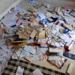 Big revelation due to half burnt Aadhaar, PAN card, check book and joining letter.