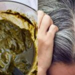 बालों पर लगाते है तो मेहंदी तो हो जाए सावधान, नही तो हो सकती है समस्या