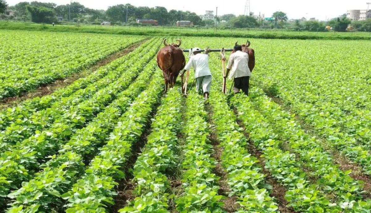 State government's unique initiative for organic farming, farmers will get a reward of Rs 1 lakh