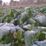 Severe cold wave in Rajasthan, snow in this district, temperature reaches record level