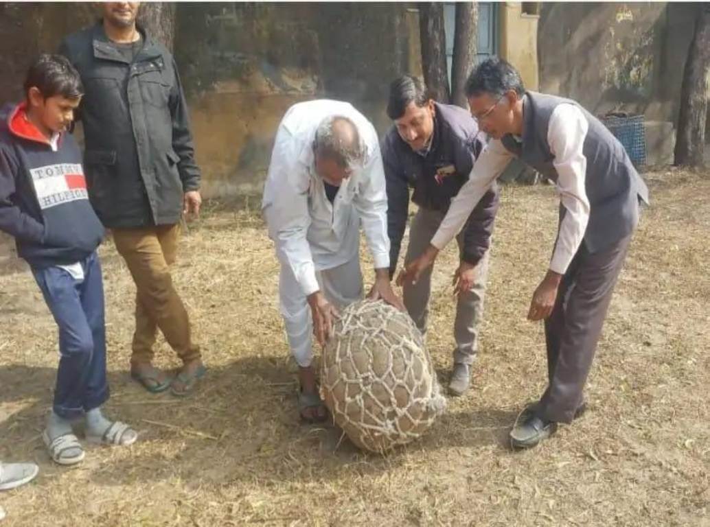 Strange game: People will play with 80 kg sticks in Awan, the decision will be taken on famine or drought.