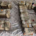 Nexa Evergreen fraud: ED raids 25 locations in Rajasthan-Gujarat, fraud case of more than 2700 crores