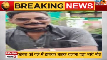 देखे Video - कोबरा को गले में डालकर बाइक चलाना पड़ा भारी, मौत