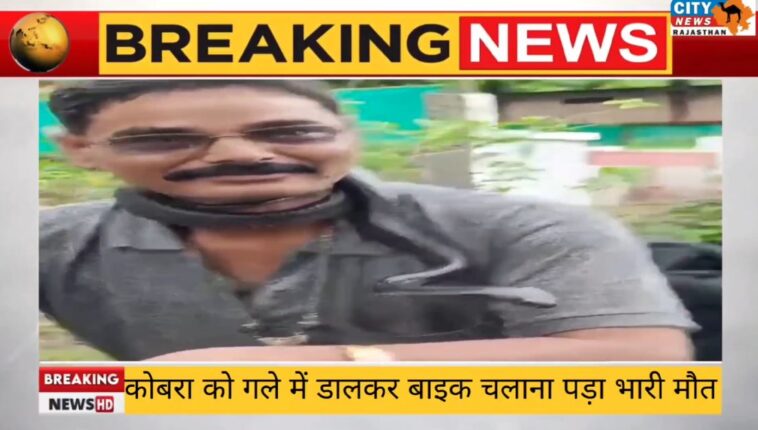 देखे Video - कोबरा को गले में डालकर बाइक चलाना पड़ा भारी, मौत