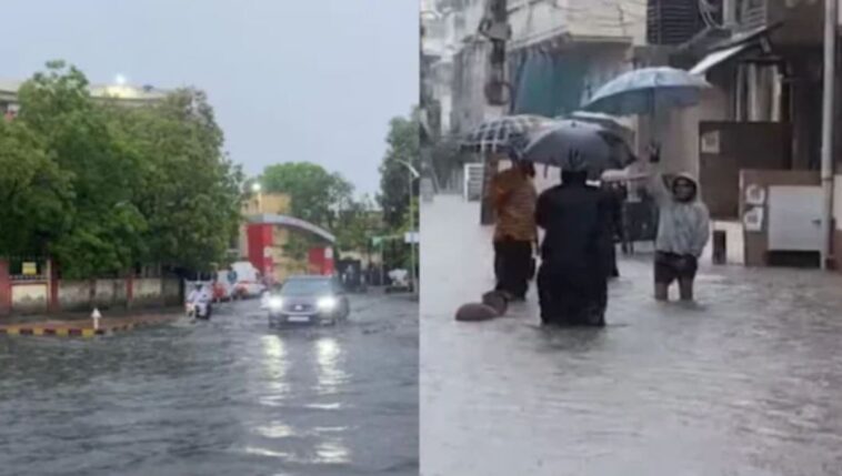 Monsoon havoc continues in Rajasthan, heavy rains, waterlogging in many districts and holidays declared in schools