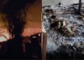 A love affair sparked violence in Banswara A settlement was attacked after a young man was murdered, and 35 houses were burned.